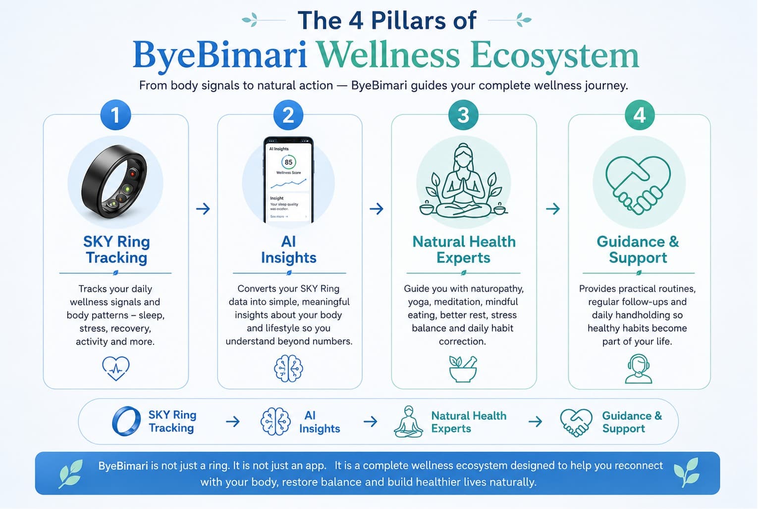 The 4 pillars of ByeBimari wellness ecosystem