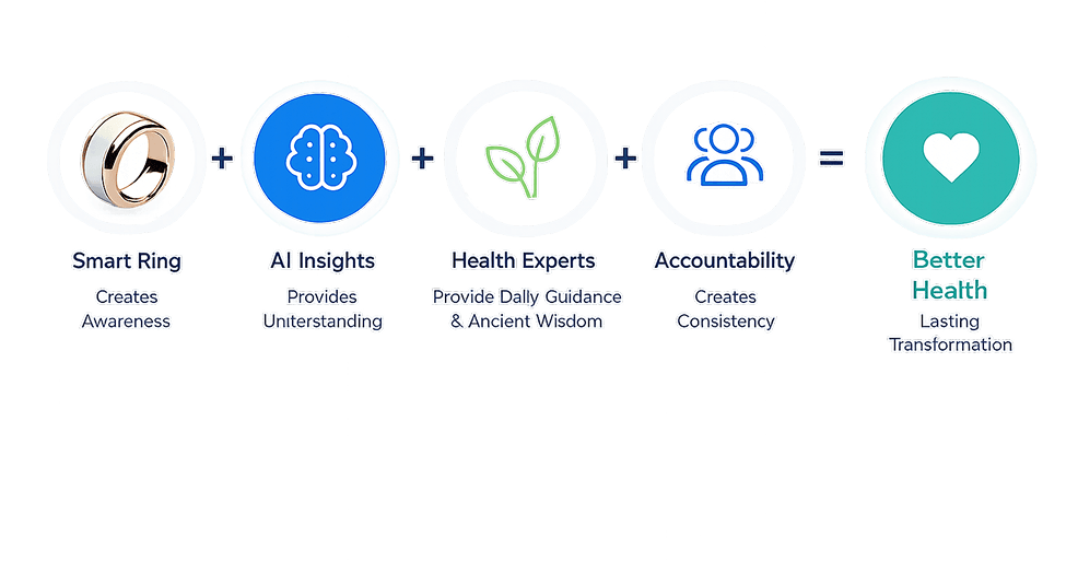 Smart Ring plus AI Insights plus Health Experts plus Accountability equals Better Health